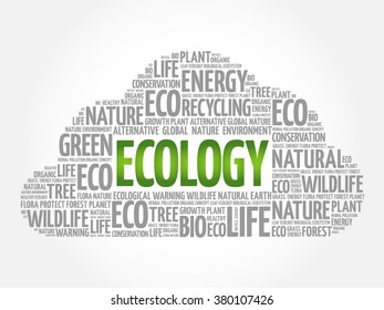 Ecology word cloud, conceptual green ecology background
