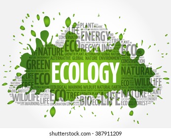 Ecology word cloud, conceptual green ecology background