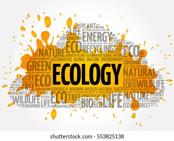 Ecology word cloud, conceptual green ecology background