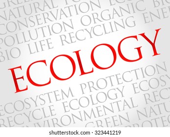Ecology word cloud, environmental concept