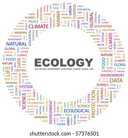 ECOLOGY. Word collage on white background. Illustration with different association terms.