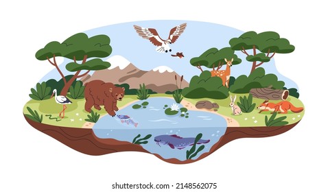 Ecosystem, biodiversity concept. Different forest habitats, carnivore animals, birds in wild environment, nature. Wildlife, fauna diversity. Flat vector illustration isolated on white background - Shutterstock ID 2148562075