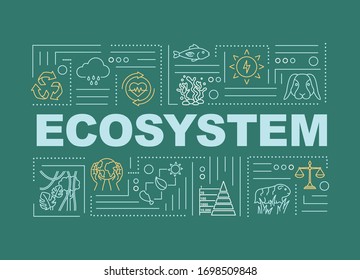 Ecosystem, biodiversity word concepts banner. Nature, living organisms community. Infographics with linear icons on green background. Isolated typography. Vector outline RGB color illustration