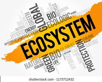 Ecosystem - consists of all the organisms and the physical environment with which they interact, word cloud concept background