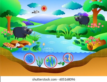 Ecosystem diagram vector  art for graphic or website layout vector