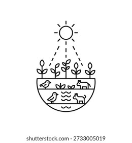 Ökosystem-Illustration zeigt Pflanzen, Tiere und Wasserkreislauf in Harmonie mit Sonnenlicht