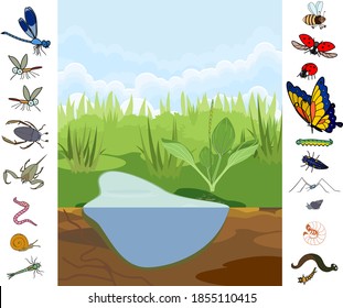 Ecosystem of pond. Puzzle with insects and other invertebrates animals in their natural habitat. Schema of pond structure