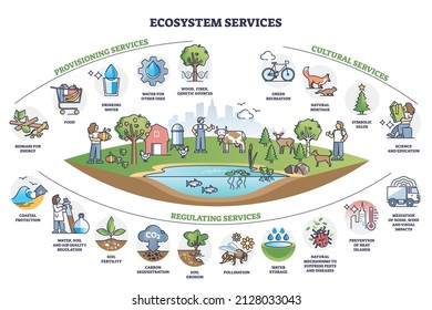 Ecosystem services with subdivision categories collection outline diagram. Labeled educational provisioning, cultural and regulating elements with detailed environmental list vector illustration.