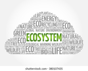 Ecosystem word cloud, conceptual green ecology background