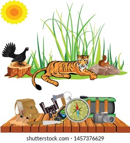 Ecotourism concept,  vacation deals design concept with bag and backpack, sunglasses,animals, etc.