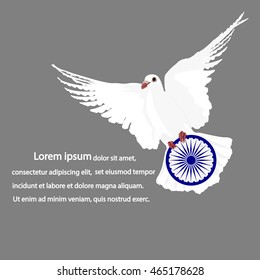 ector image of dove flying with Ashoka wheel for Indian Republic Day isolated on gray