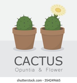 ector set of cacti, Cactus and succulent plants, Opuntia flower.