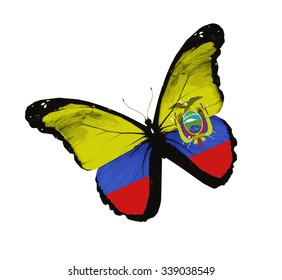Ecuador flag butterfly - vector
