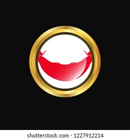 Ecuador flag Golden button