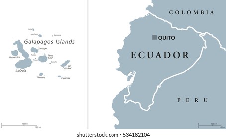 Ecuador Political Map With Capital Quito And The Galapagos Islands In The Pacific Ocean. Republic In South America. Gray Illustration With English Labeling On White Background. Vector.