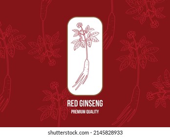 ed Ginseng Line Drawing Illustration Vector Background Image