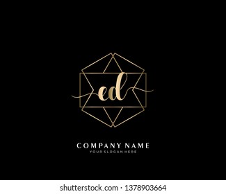 ED initial handwriting logo geometric template vector