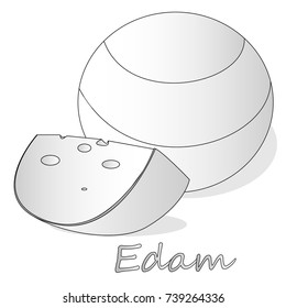 Edam cheese food collection illustration