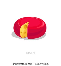 Edam cheese head. Cartoon flat style fresh diary product. Vector illustration single icon isolated on white background.