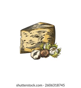 Edam cheese triangle part with hazelnuts sketch. Hand drawn vector illustration of healthy snack, recipe ingredient, menu decoration. Emmental yellow cheese piece with holes. Milk food production