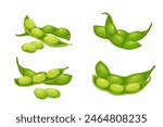 edamame beans isolated on white background. Vector eps 10. perfect for wallpaper or design elements