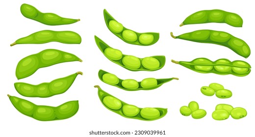 edamame beans isolated on white background. Vector eps 10. perfect for wallpaper or design elements