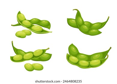 edamame beans isolated on white background. Vector eps 10. perfect for wallpaper or design elements