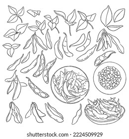 Edamame beans sketch vector illustration. Soya beans, pod on green plant with leaves. Edamame soybean in bowl plate. Hand drawn isolated design. Fresh farm market vegetable green beans product. Vegan 