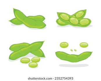 Edamame, green peas, beans on a white background, Food hand drawn, vector illustration.