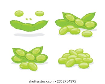 Edamame, green peas, beans on a white background, Food hand drawn, vector illustration.