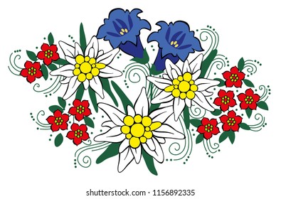 Edelweiss and alpine flowers