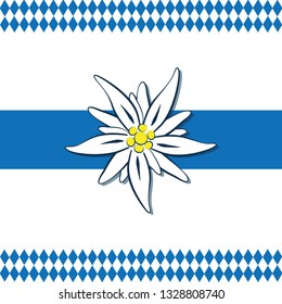 edelweiss flower with blue and white pattern background vector illustration EPS10