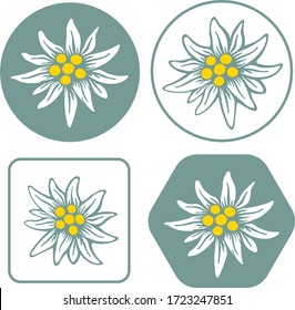 edelweiss flower icon vector alpine icon flat web sign symbol logo label