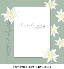 Edelweiss flower inspiration