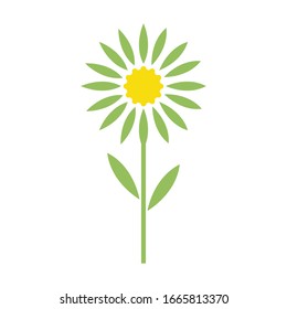 Ilustración vectorial del logo floral de Edelweiss