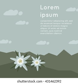 Edelweiss flower on a background of mountains.Vector Illustration.