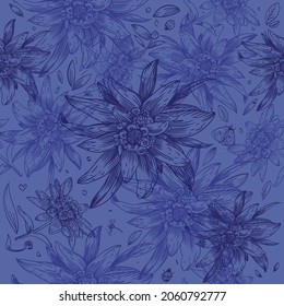 Edelweiss flower pattern, outline pattern, vector, for use in printing and textiles, wrapping paper