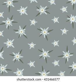 Edelweiss flower pattern  vector on a gray background.