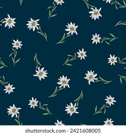 Edelweiss flower seamless pattern. Vector illustration