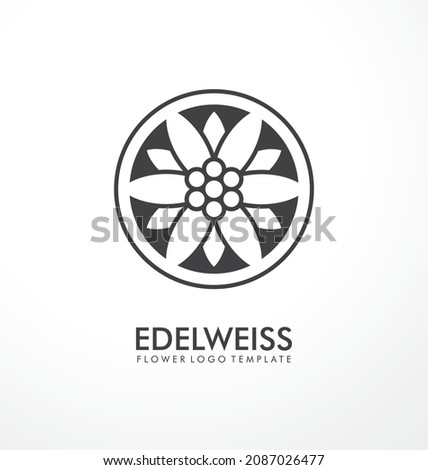 Edelweiss flower simple logo design idea. Minimalist logo or symbol concept with geometric flower shape. Vector icon.