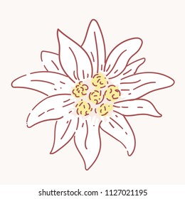 edelweiss flower symbol alpinism alps germany logo