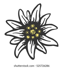 edelweiss flower symbol alpinism alps germany logo set