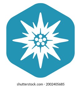 The edelweiss icon. A high-altitude alpine flower, a symbol of Bavaria and Austria. A white silhouette on a blue hexagon. Vector illustration isolated on a white background for design and web.