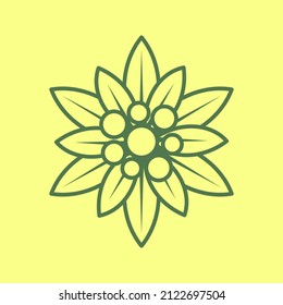 Edelweiss icon. Isolated edelweiss sign. vector illustration