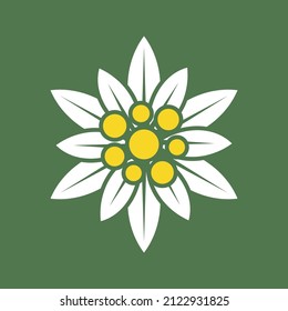 Edelweiss icon. Isolated edelweiss sign. vector illustration