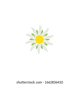 Edelweiss logo illustration vector design