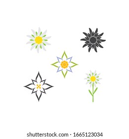 Edelweiss logo illustration vector design
