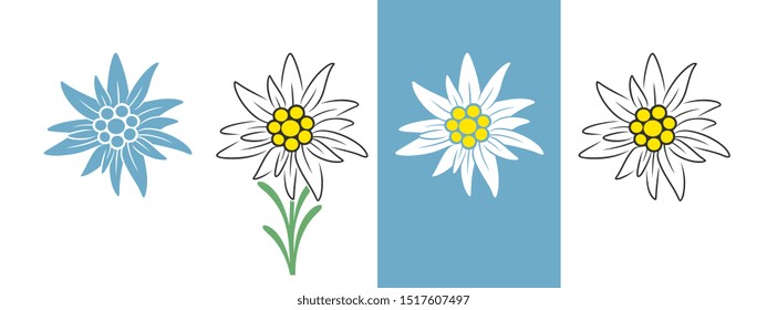 Edelweiss logo. Isolated edelweiss on white background