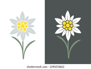 Edelweiss logo. Isolated edelweiss on white background