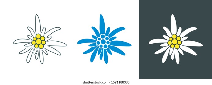 Edelweiss logo. Isolated edelweiss on white background